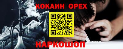 кокс Кингисепп