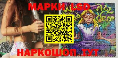 кокс Кингисепп