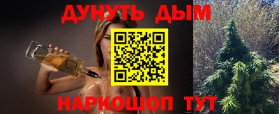 кокс Кингисепп