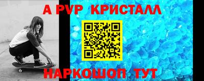 кокс Кингисепп